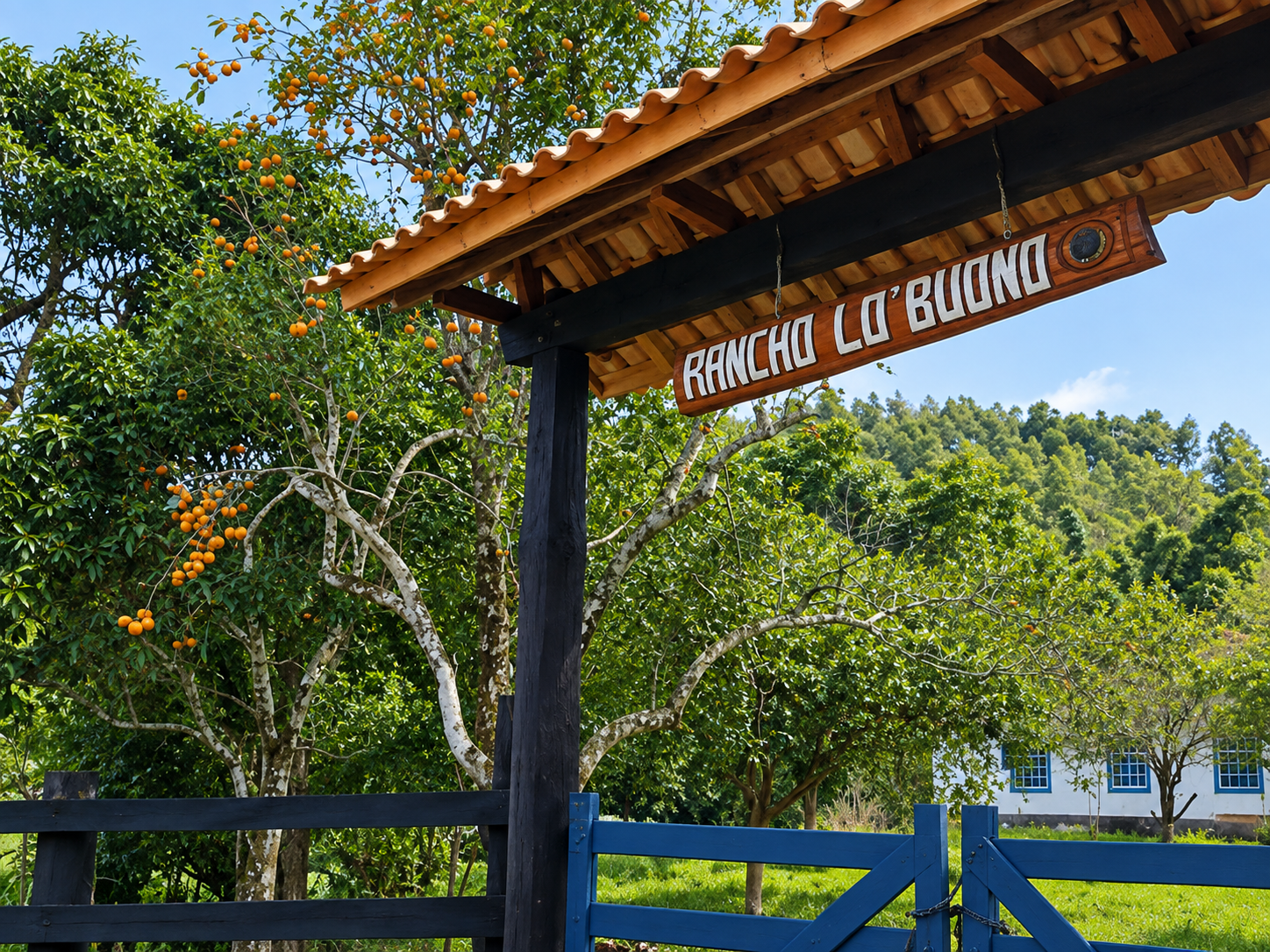 Entrada da fazenda Latte Buono